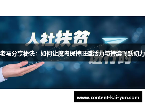 老马分享秘诀:如何让魔鸟保持旺盛活力与持续飞跃动力 老马分享秘诀:如何让魔鸟保持旺盛活力与持续飞跃动力