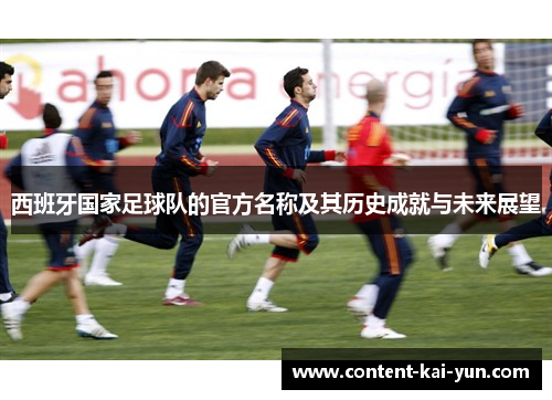 西班牙国家足球队的官方名称及其历史成就与未来展望