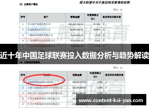 近十年中国足球联赛投入数据分析与趋势解读